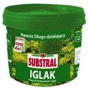 Nawóz Substral 100 Dni Iglak Wiaderko 5kg