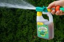 Nawóz ZD SprayGreen do Thui_ 950ml + ZAPAS 950ml