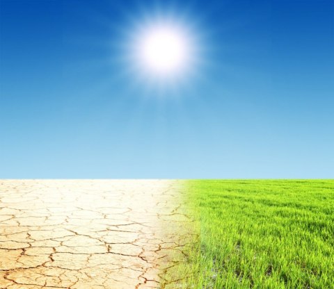 Trawa Odporna na Suszę GF SUN Grass 25kg