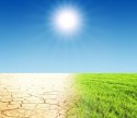 Trawa Odporna na Suszę GF SUN Grass 5kg