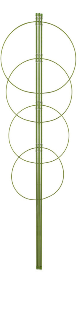 Podpora pierscieniowa do roslin 60 cm
