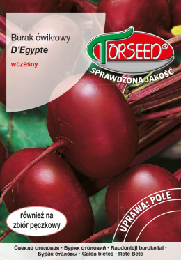 Burak ćwikłowy D'Egypte 15g