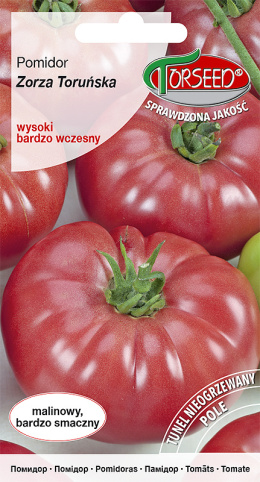 Pomidor Zorza Toruńska 0,5g wysoki