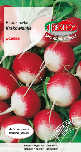 Rzodkiewka Krakowianka 10g