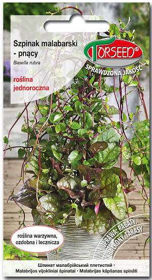 Szpinak Malabarski pnący 10szt. Basella rubra