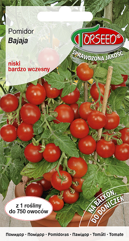 Pomidor Bajaja 0,1g karłowy