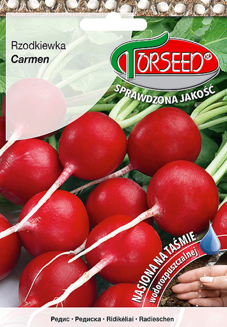 Rzodkiewka Carmen 5m/165 nas TAŚMA
