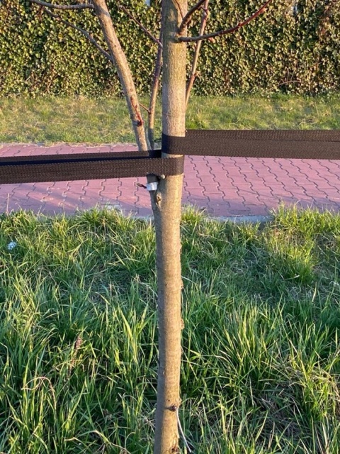 Taśma nośna(czarna) 50mm x50m